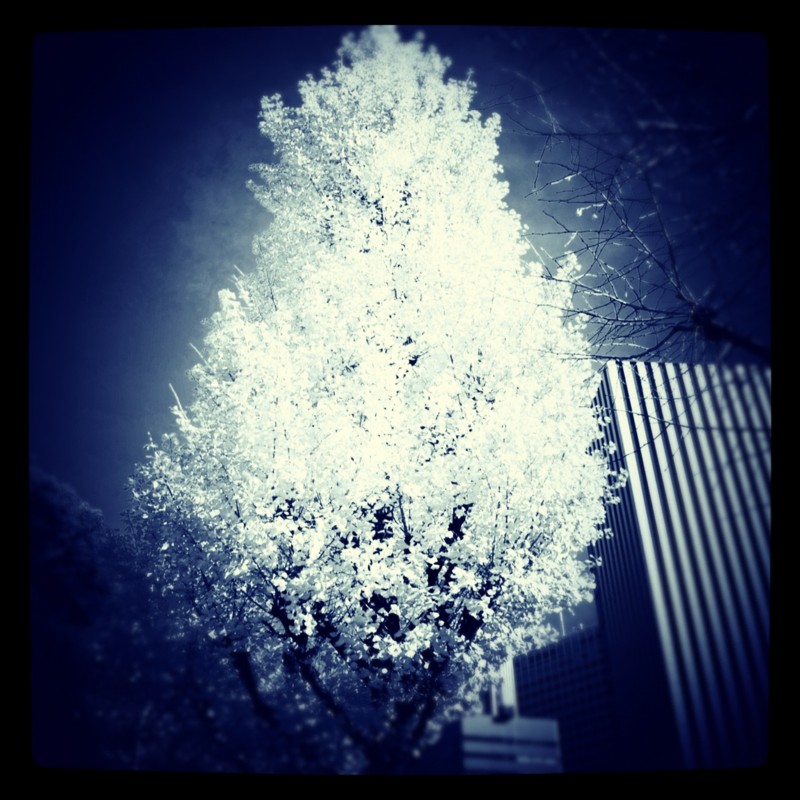 f:id:meison_amsl:20120103171926j:image:w640