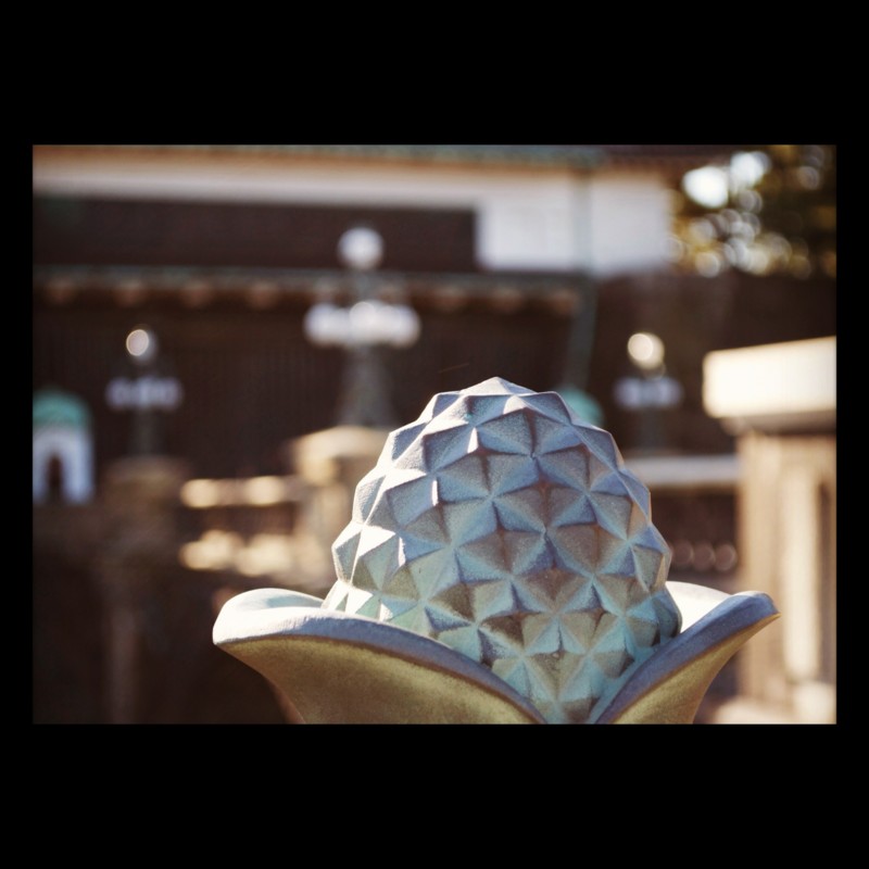 f:id:meison_amsl:20120103171928j:image:w640