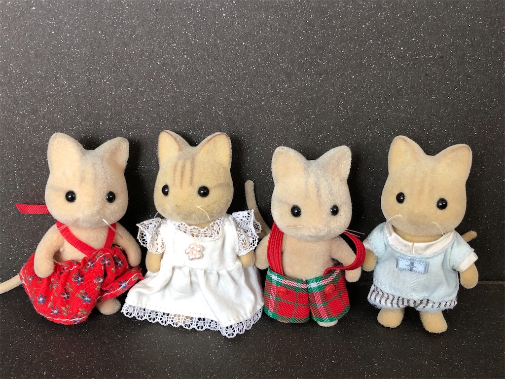 f:id:meisysmei:20210522141857j:image