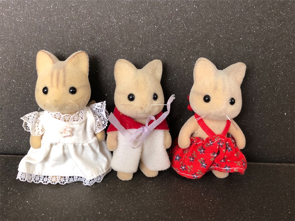 f:id:meisysmei:20210522141926j:image