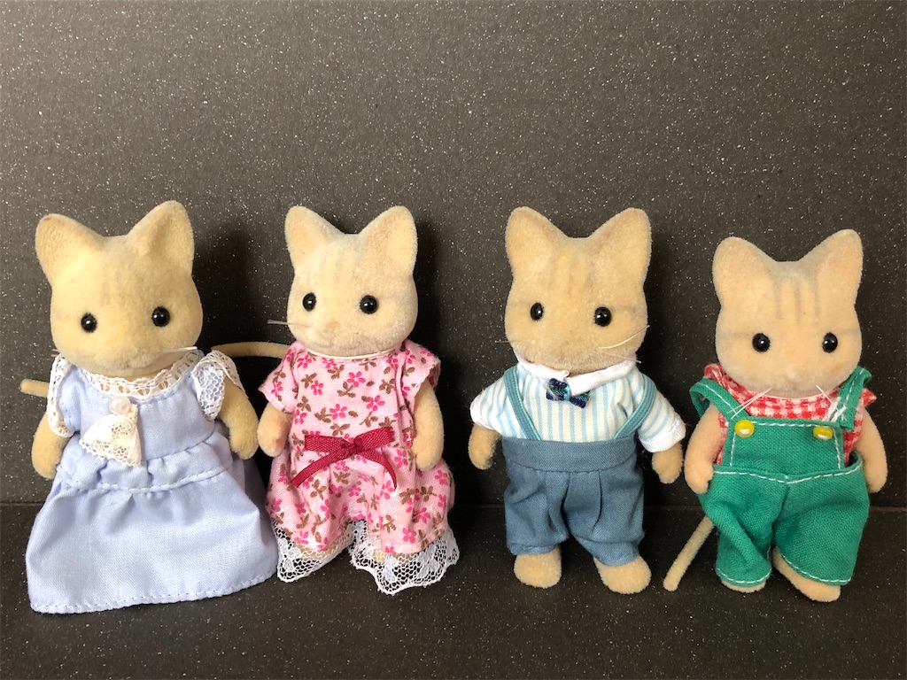 f:id:meisysmei:20210522142037j:image