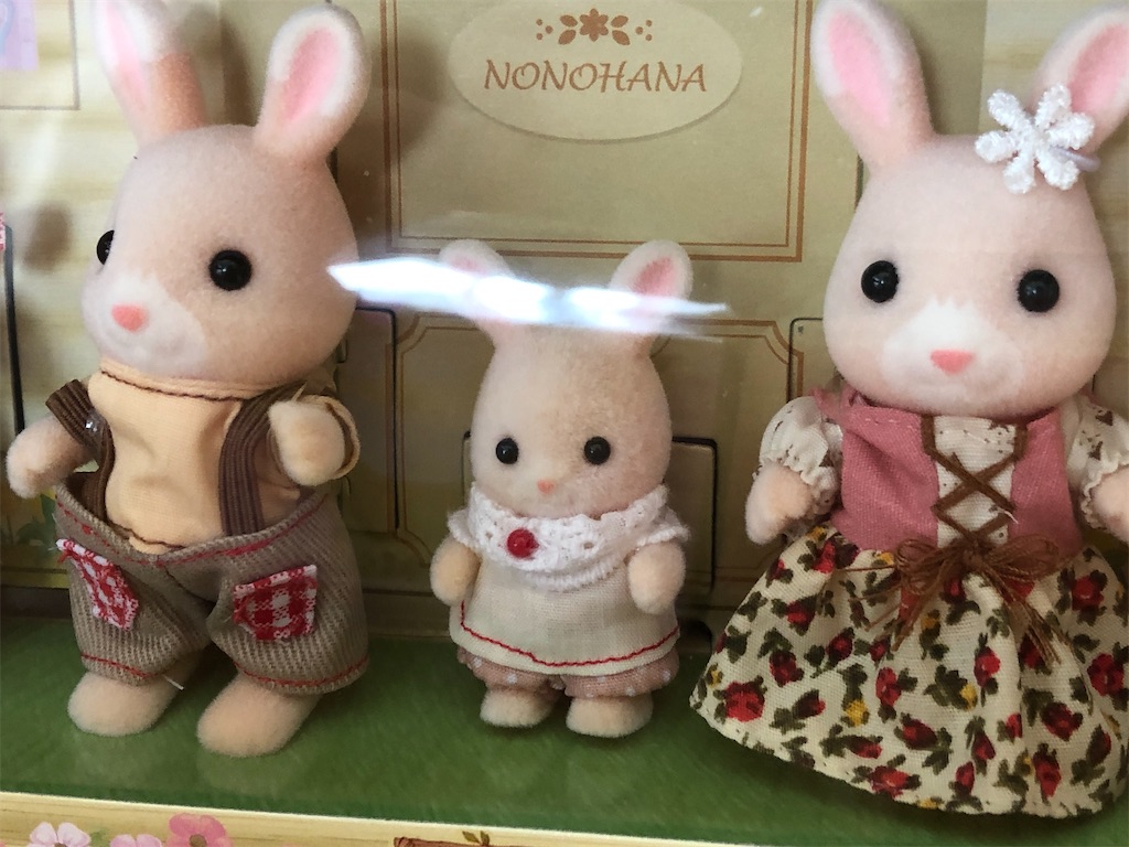 ののはなウサギを求めて - 森の住人