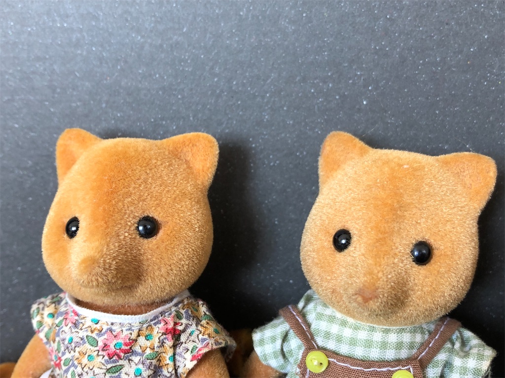 f:id:meisysmei:20210725223729j:image