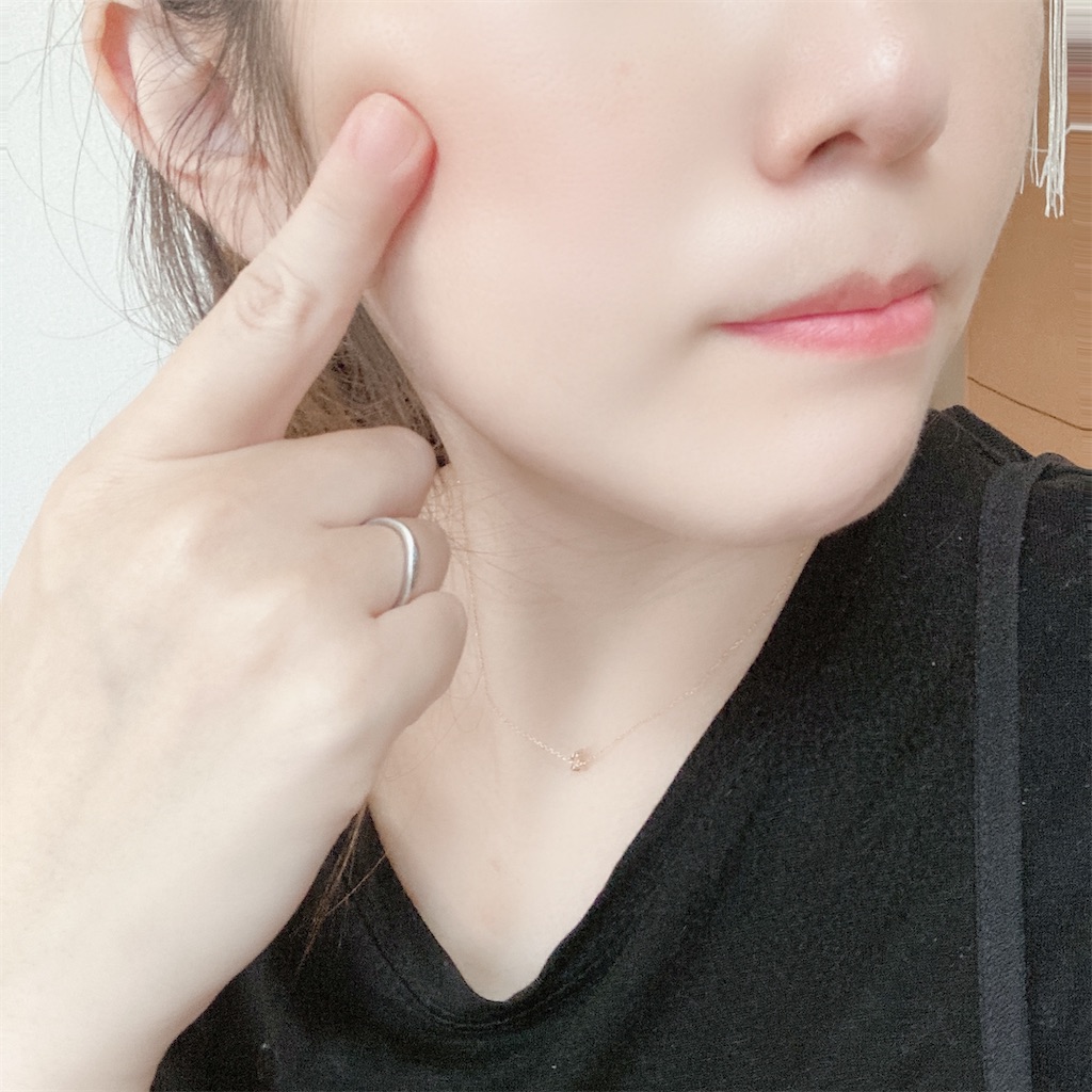 f:id:meitaro2020:20210721145028j:image f:id:meitaro2020:20210721145028j:image