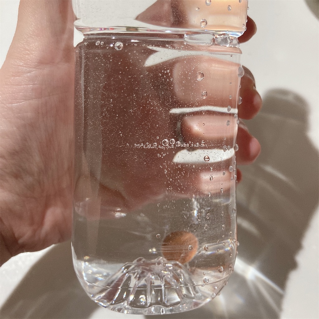 f:id:meitaro2020:20210920095253j:image f:id:meitaro2020:20210920095253j:image