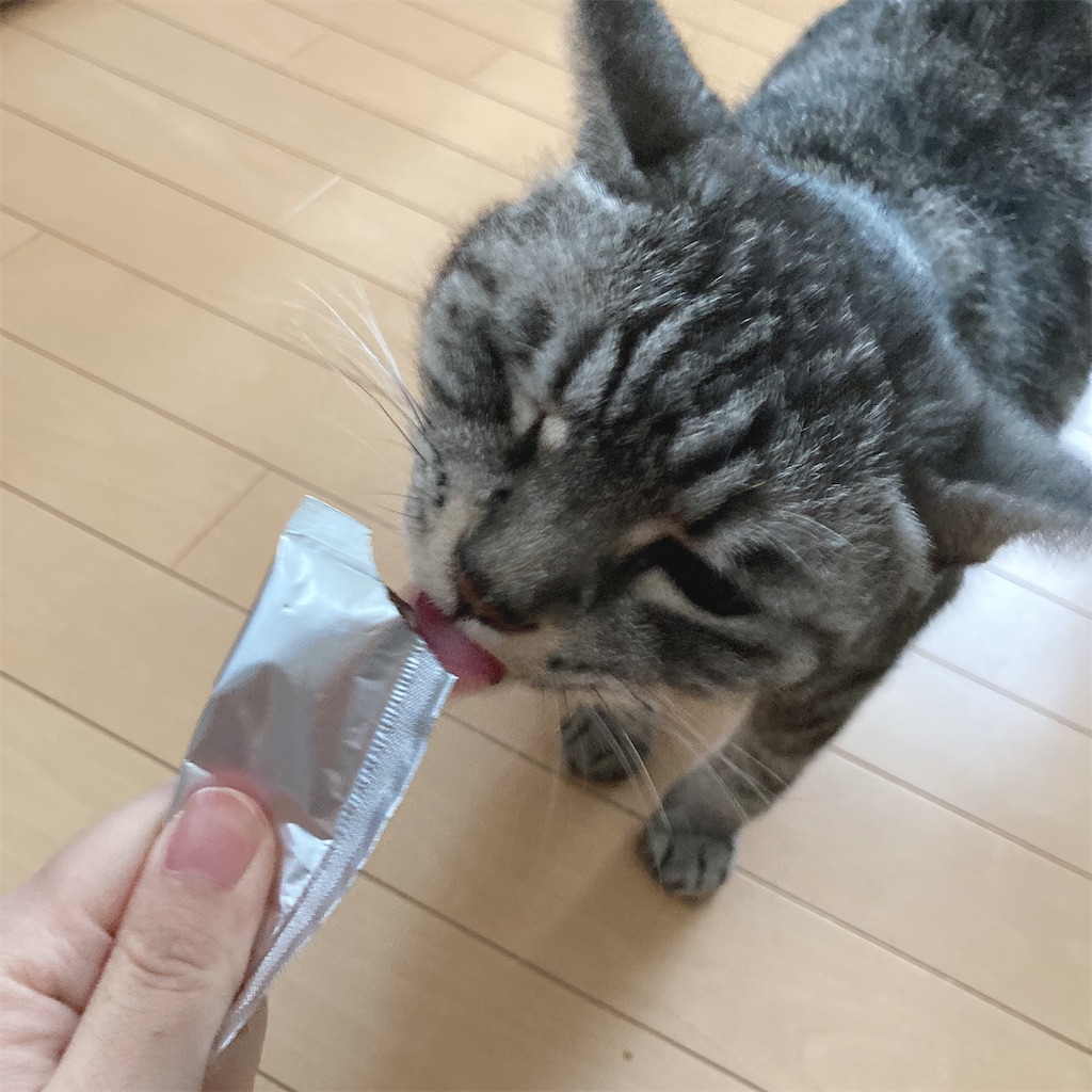 f:id:meitaro2020:20211017210307j:image f:id:meitaro2020:20211017210307j:image