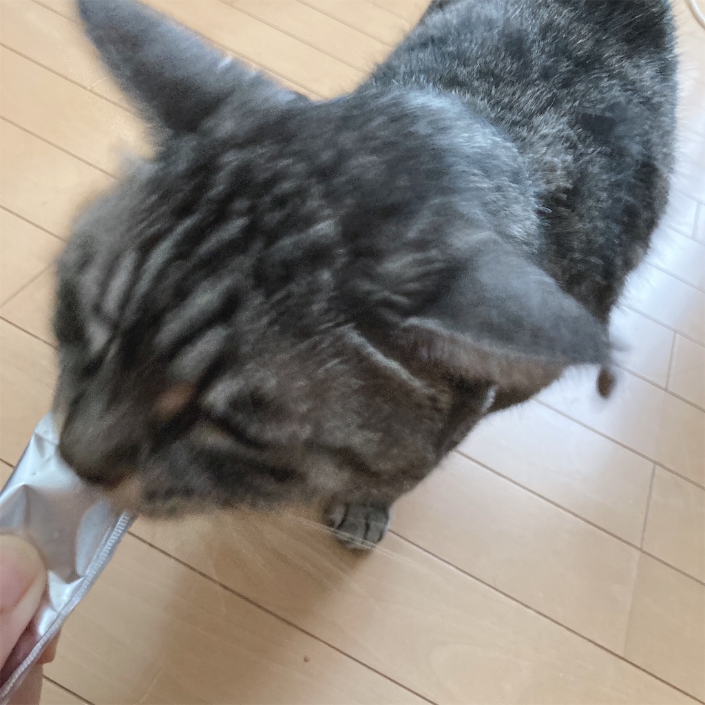 f:id:meitaro2020:20211017210313j:image f:id:meitaro2020:20211017210313j:image