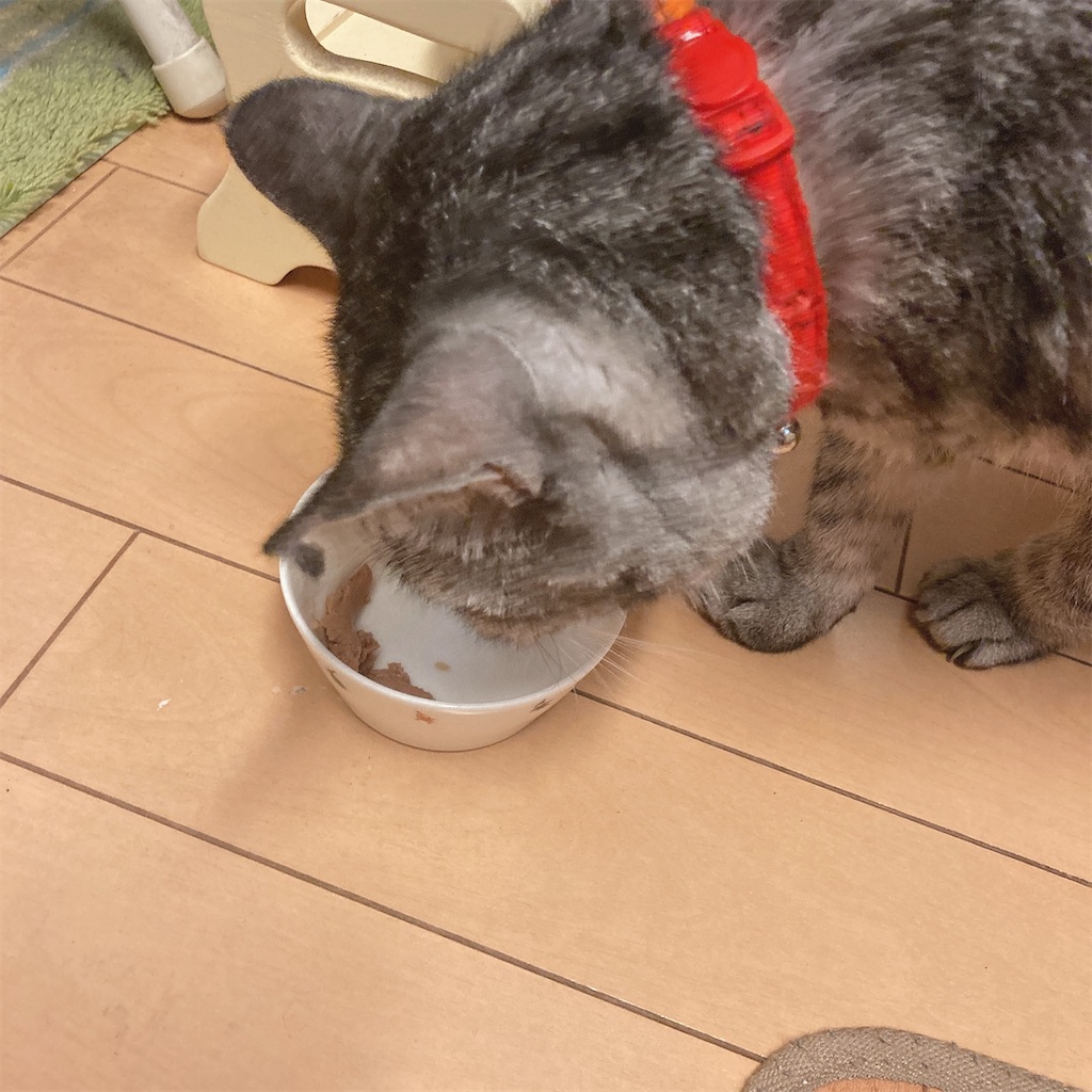 f:id:meitaro2020:20211017210323j:image f:id:meitaro2020:20211017210323j:image