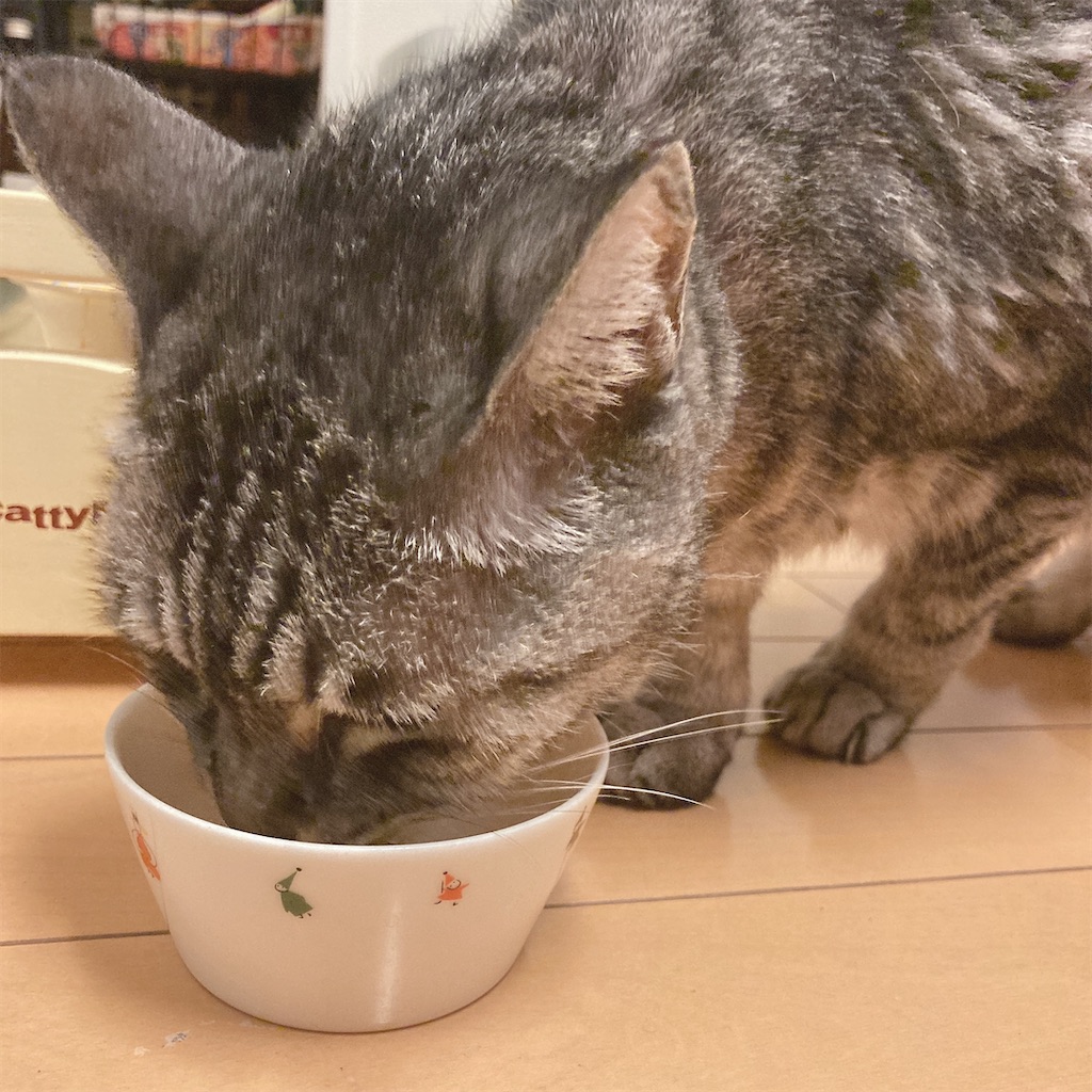 f:id:meitaro2020:20211017210326j:image f:id:meitaro2020:20211017210326j:image