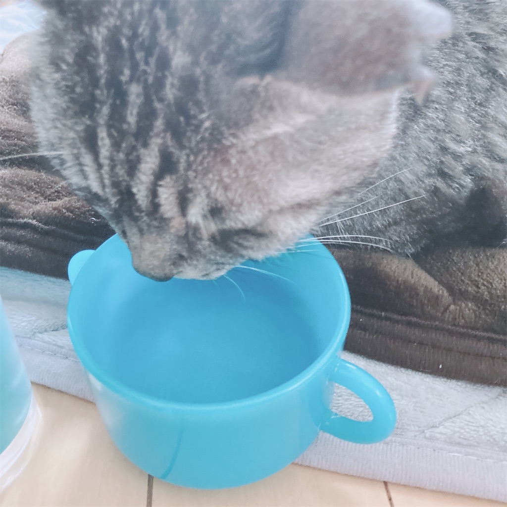 f:id:meitaro2020:20211104195047j:image f:id:meitaro2020:20211104195047j:image