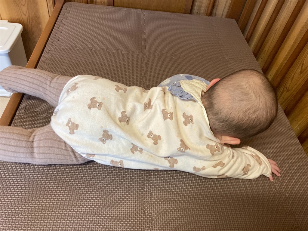 f:id:meitaro2020:20220306142625j:image f:id:meitaro2020:20220306142625j:image