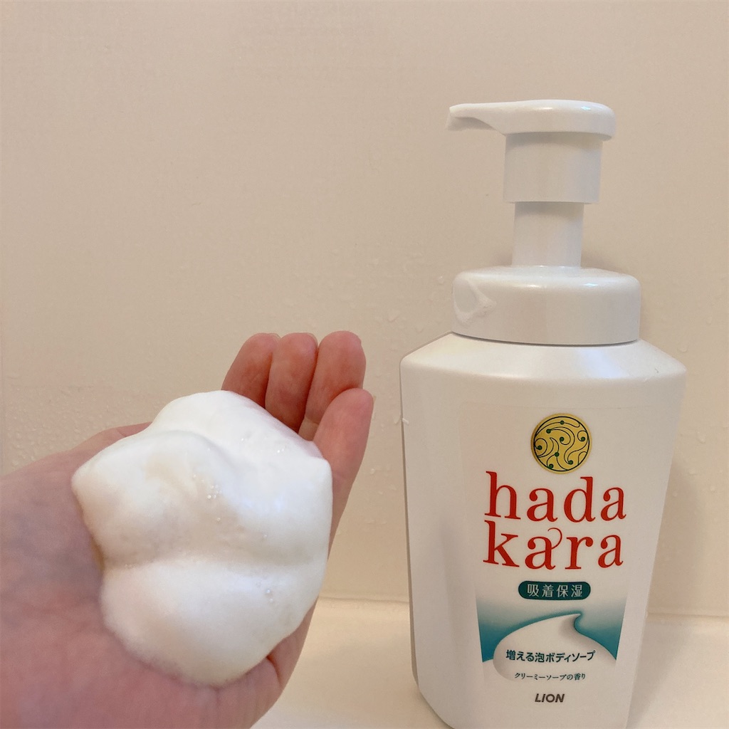 f:id:meitaro2020:20220320171204j:plain