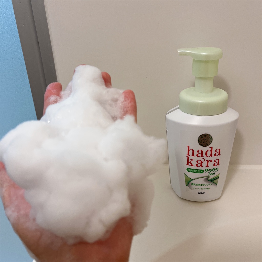 f:id:meitaro2020:20221001190041j:image