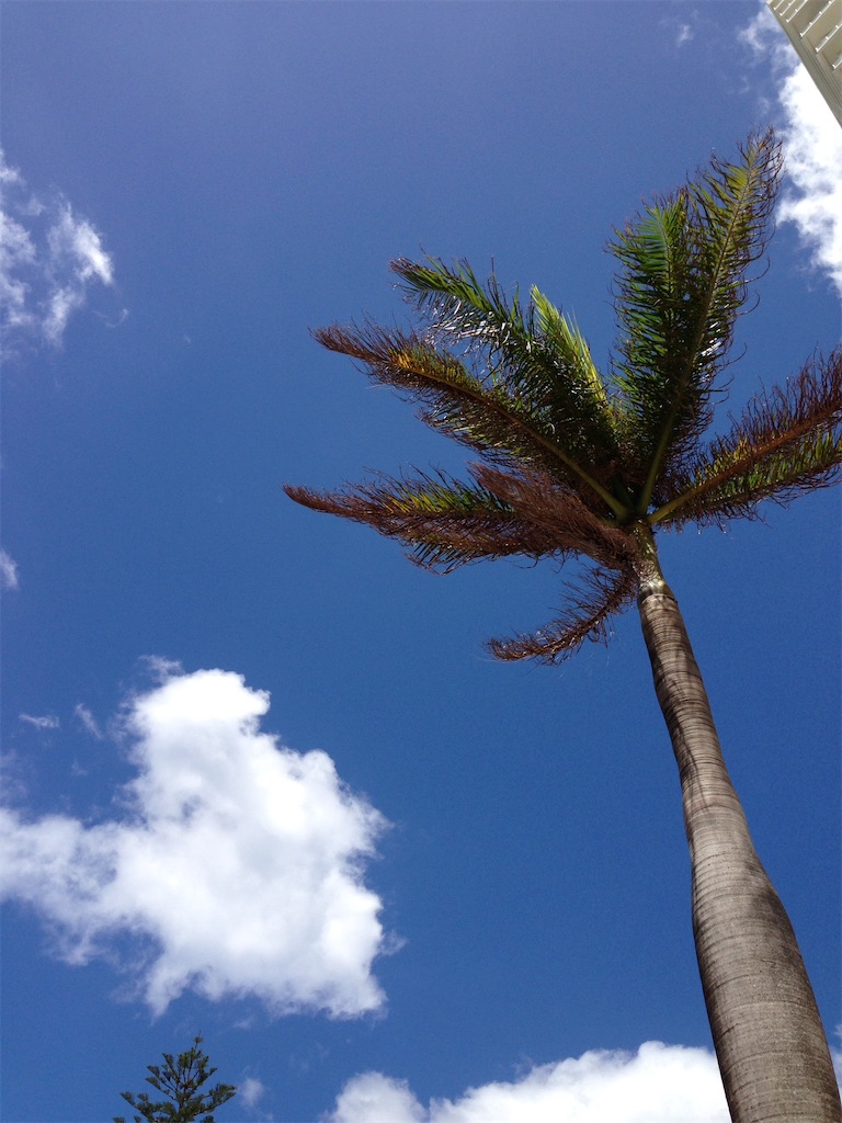 f:id:meitatanoshimobe:20230722163241j:image f:id:meitatanoshimobe:20230722163241j:image