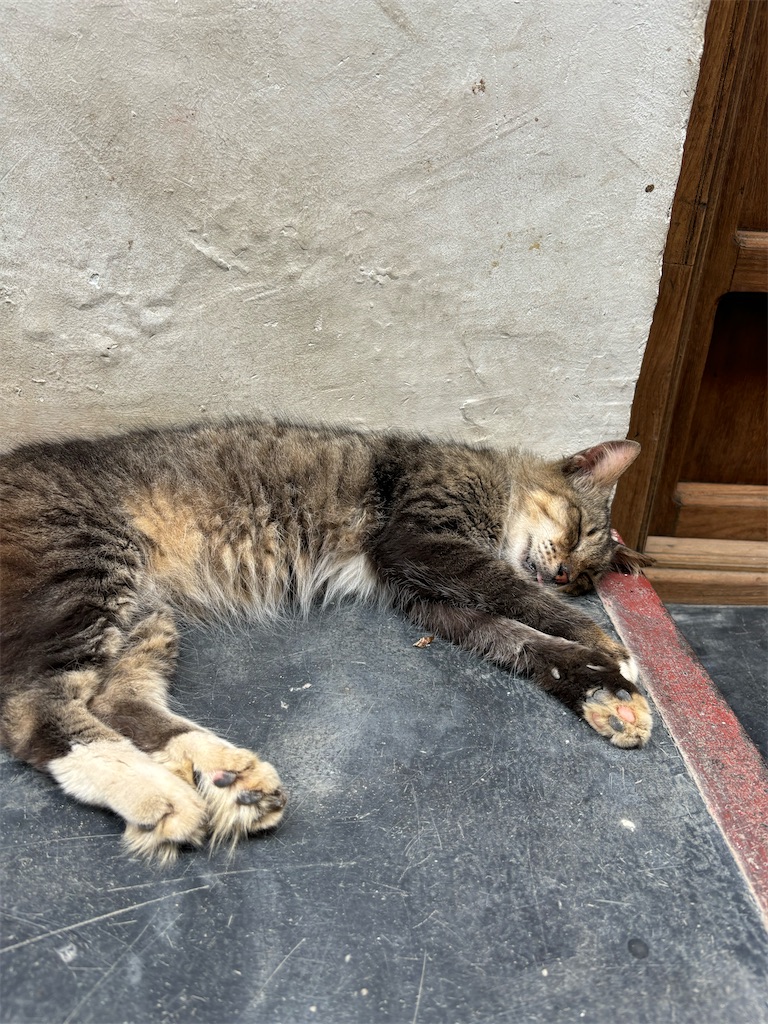 f:id:meitatanoshimobe:20241013134019j:image