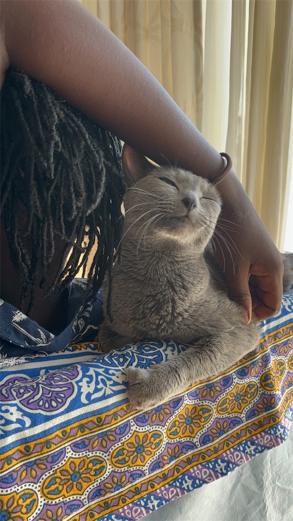 f:id:meitatanoshimobe:20241029164804j:image