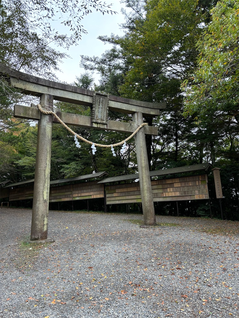 f:id:meitatanoshimobe:20241209180655j:image