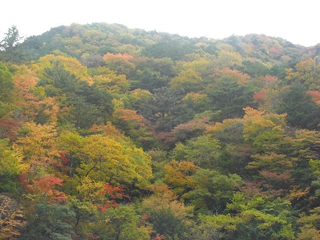 f:id:meiteinokin:20101107072923j:image