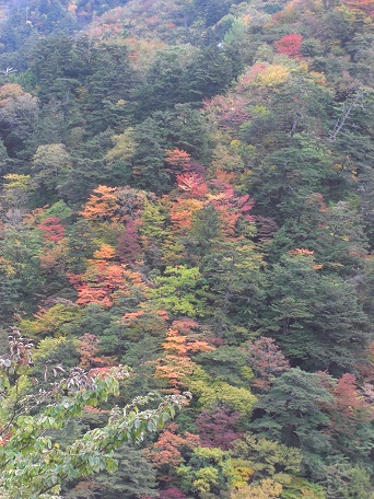 f:id:meiteinokin:20101107084055j:image