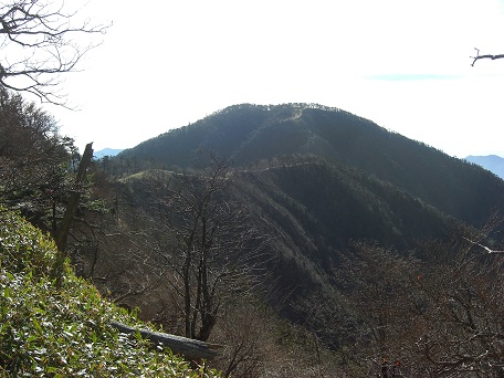 f:id:meiteinokin:20101107134025j:image