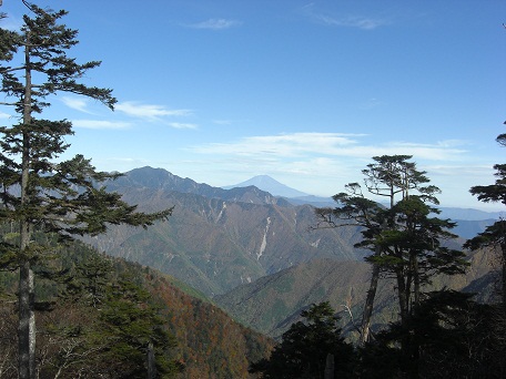 f:id:meiteinokin:20101107134406j:image
