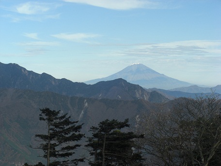 f:id:meiteinokin:20101107135528j:image
