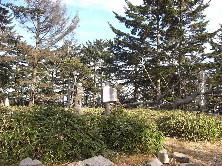 f:id:meiteinokin:20101107142158j:image