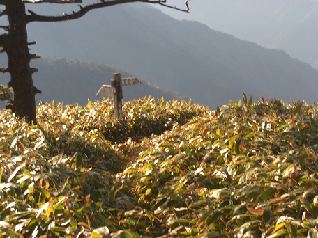 f:id:meiteinokin:20101107152353j:image