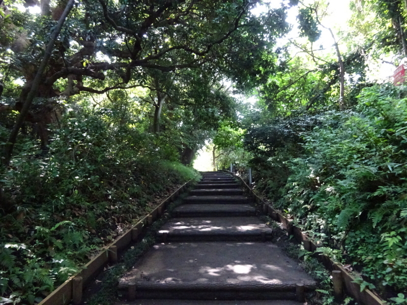 f:id:meitetsu2000:20170807090027j:plain f:id:meitetsu2000:20170807090027j:plain