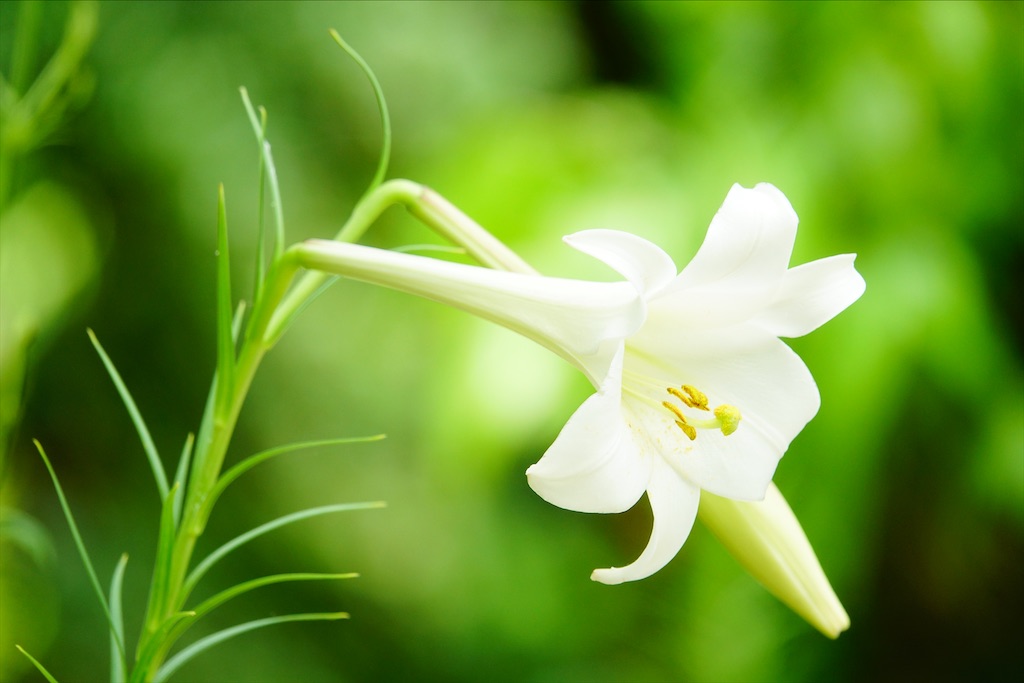 f:id:meitetsu2000:20220130032717j:image f:id:meitetsu2000:20220130032717j:image