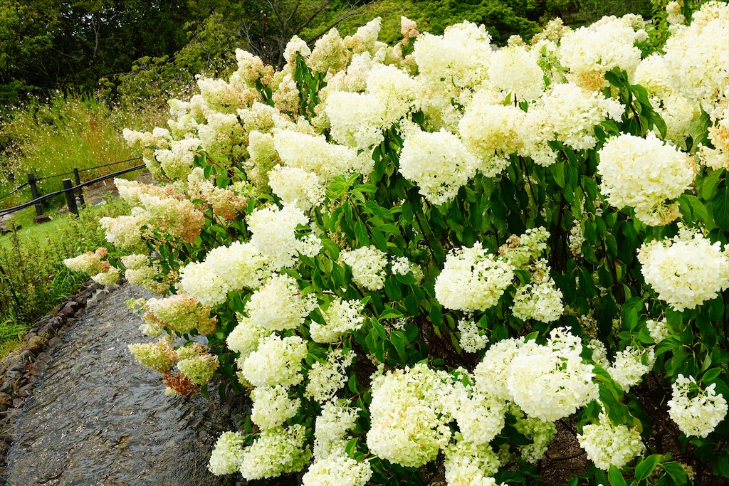 f:id:meitetsu2000:20220130032839j:image f:id:meitetsu2000:20220130032839j:image