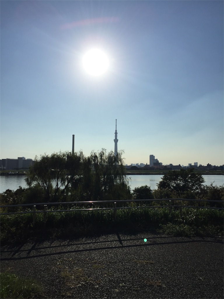 f:id:meitori:20180806212700j:image f:id:meitori:20180806212700j:image