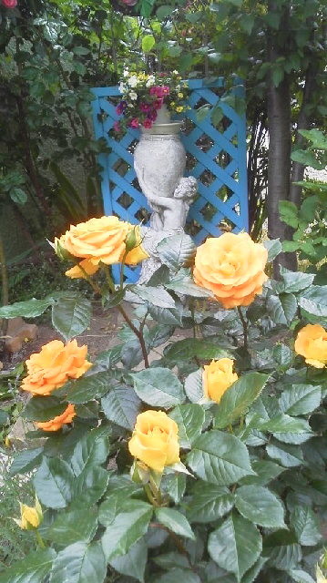 f:id:meityan:20200616083800j:plain