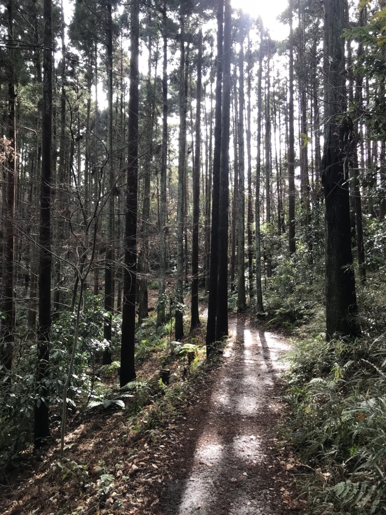 f:id:mejiromeikyuu:20180110185832j:plain f:id:mejiromeikyuu:20180110185832j:plain