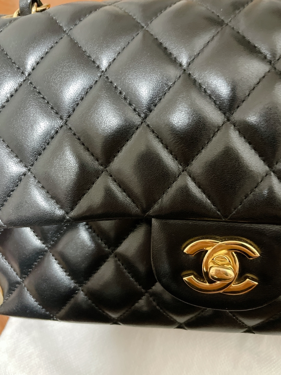 f:id:mejiromeikyuu:20210928200233j:plain