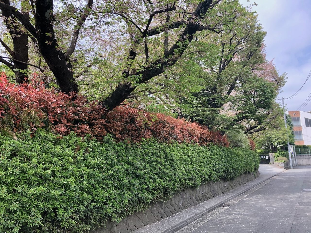 慶應義塾普通部のすべて 中学受験社会のブログ