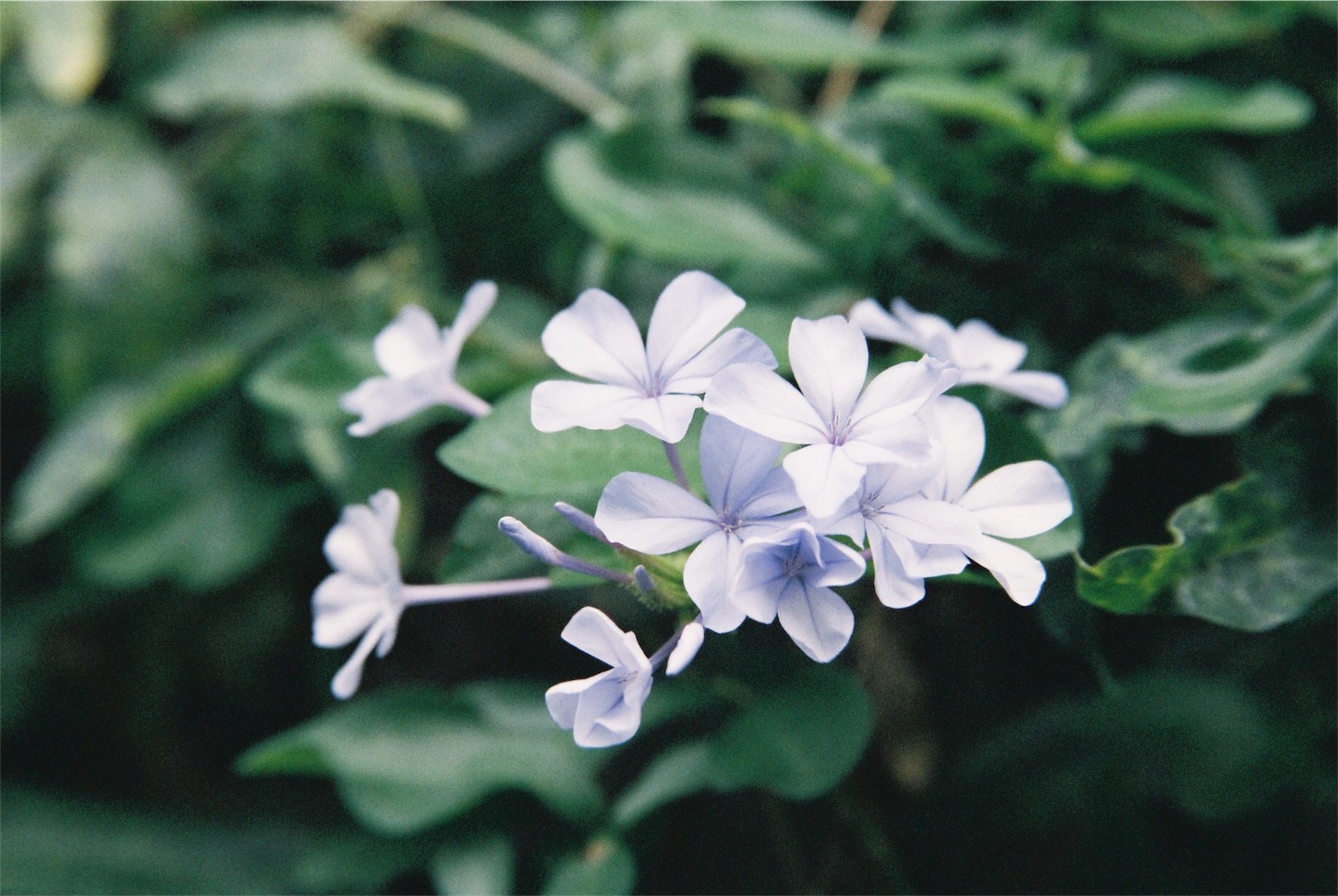 f:id:mekabu916:20171116184518j:image f:id:mekabu916:20171116184518j:image