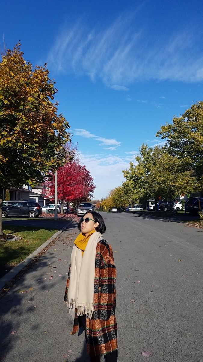 f:id:mekabux:20191021104347j:plain