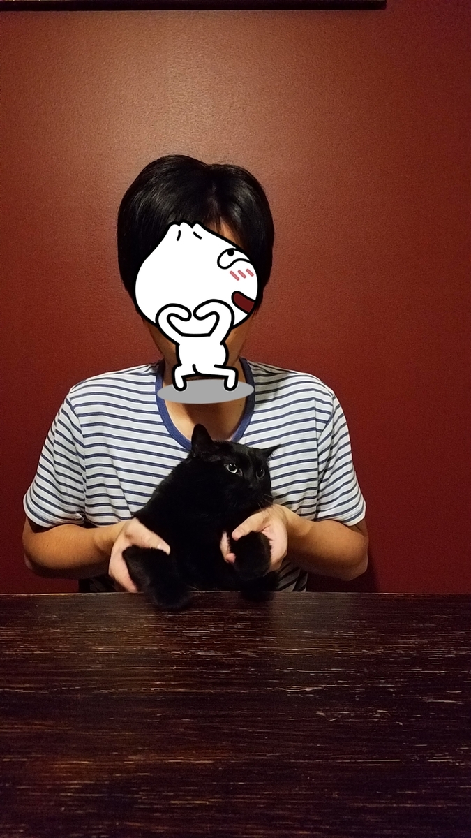 f:id:mekabux:20191023104953j:plain