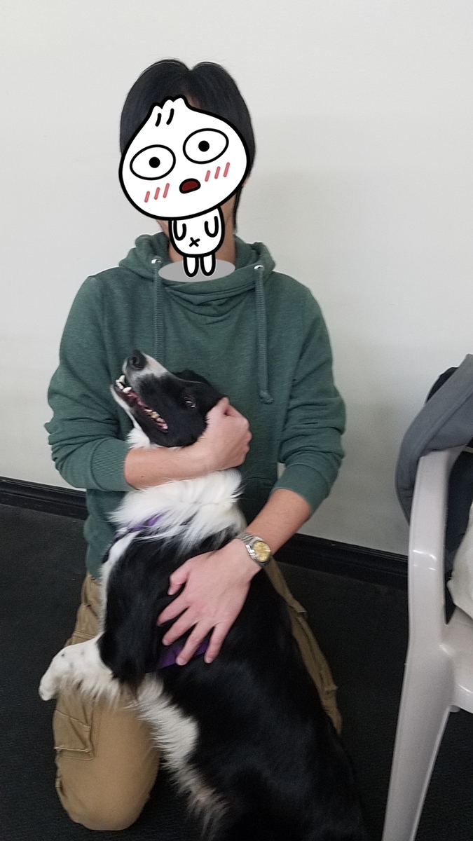f:id:mekabux:20191023105028j:plain