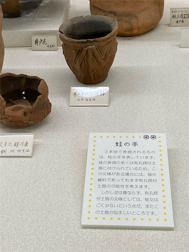 f:id:mekafumichan:20231124001620j:image