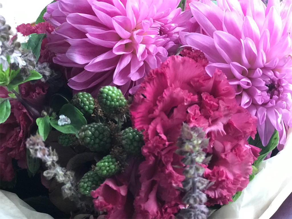 f:id:mekajiki_life:20190722051912j:image f:id:mekajiki_life:20190722051912j:image
