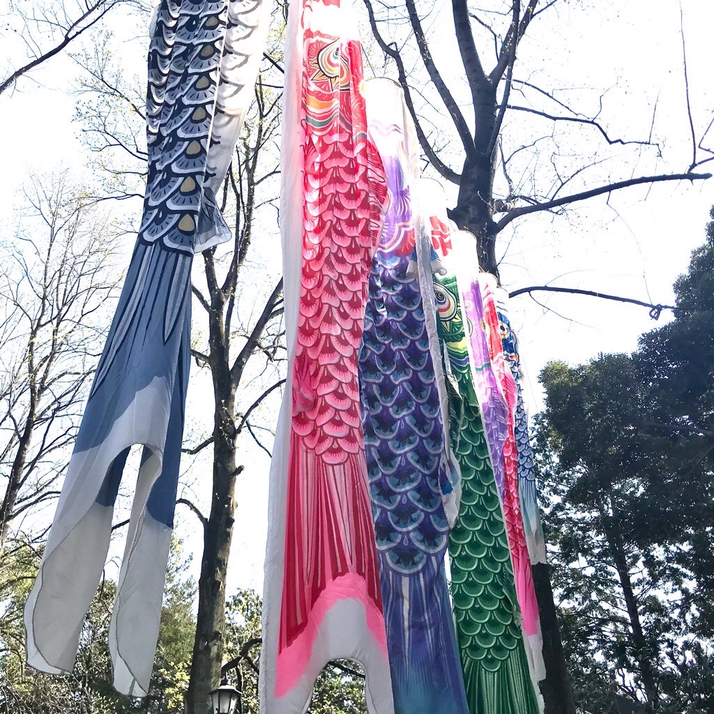 f:id:mekajiki_life:20220410063243j:image f:id:mekajiki_life:20220410063243j:image