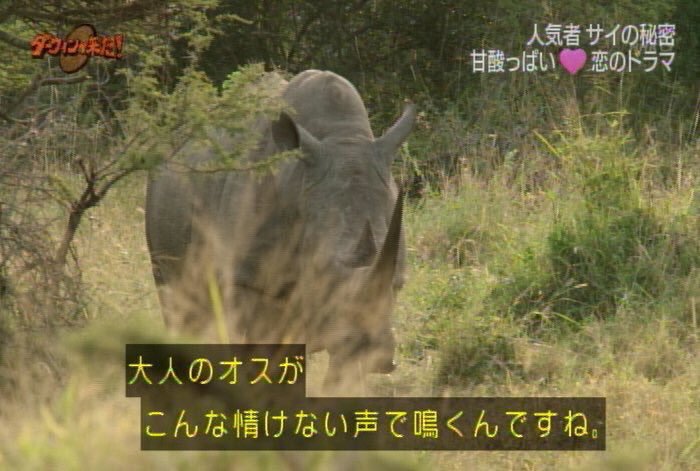 f:id:mekasue:20191204211438j:plain f:id:mekasue:20191204211438j:plain