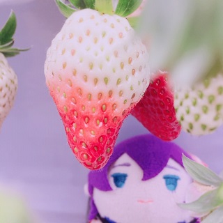 f:id:mekax:20190210163416j:plain