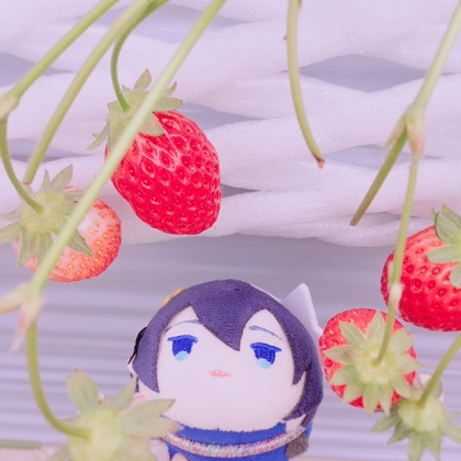 f:id:mekax:20190210164420j:plain
