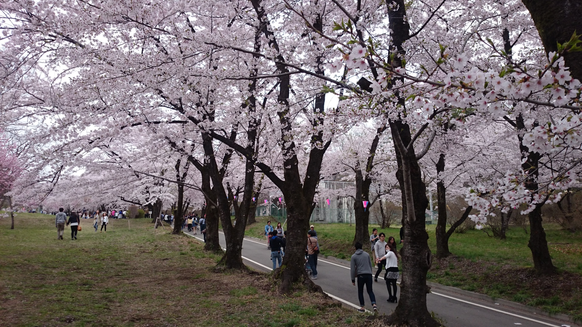 f:id:mekkemon-com:20170412193242j:plain f:id:mekkemon-com:20170412193242j:plain