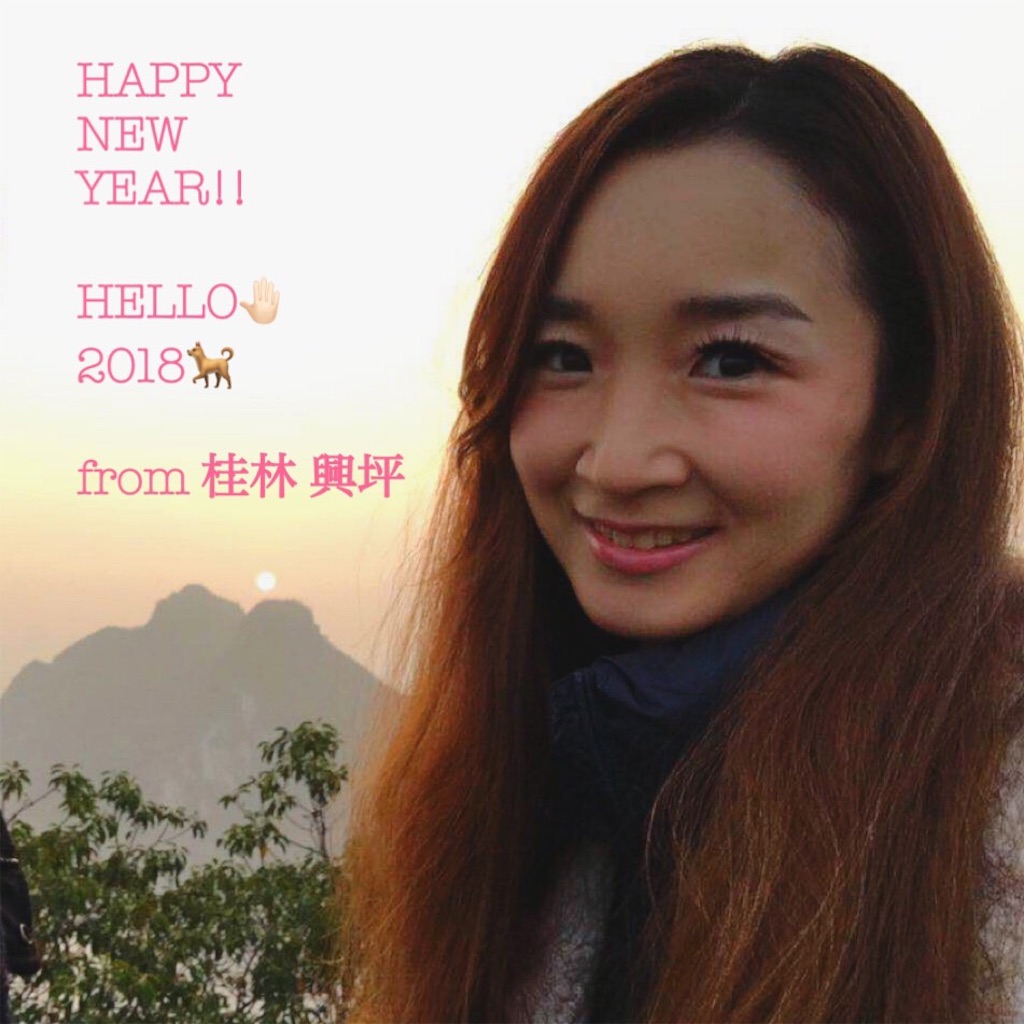 f:id:mekoblo:20180102100431j:image