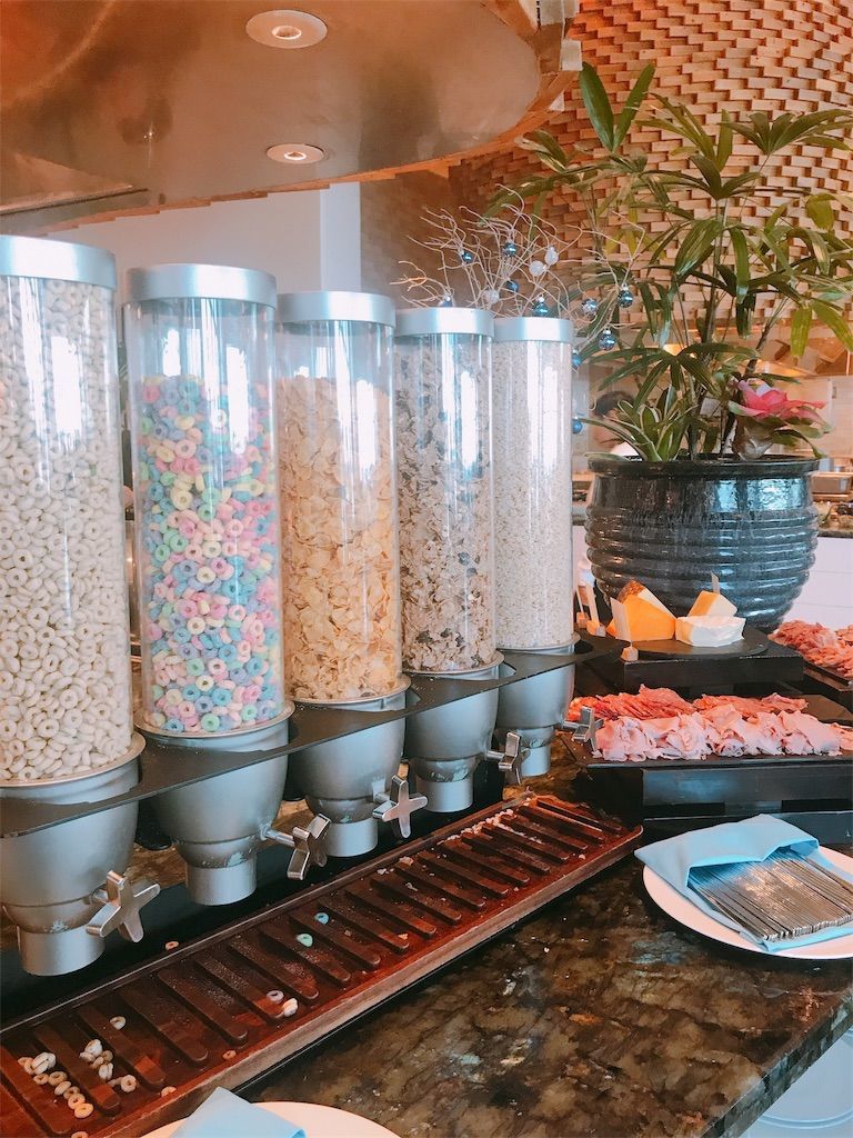f:id:mekotabi:20190509115638j:image f:id:mekotabi:20190509115638j:image