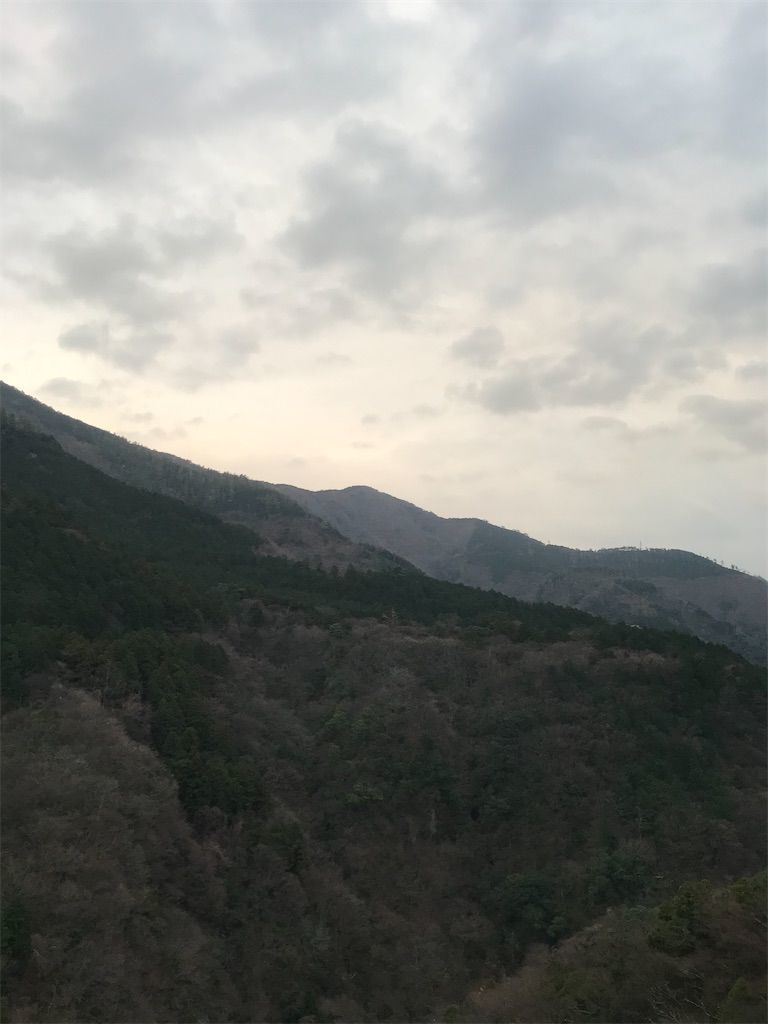 f:id:mekotabi:20200308141716j:image